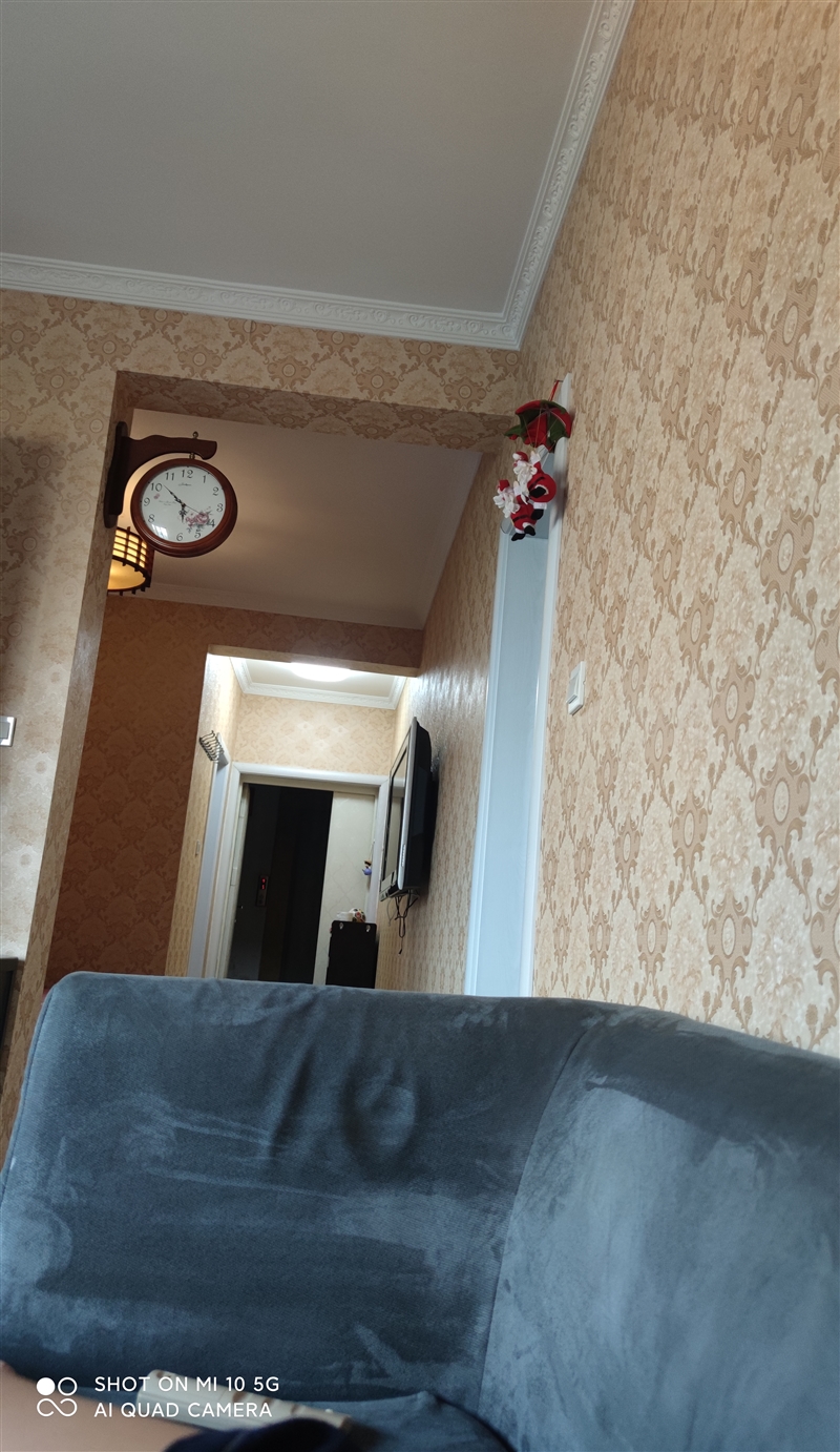 一室一厅精装电梯楼出租