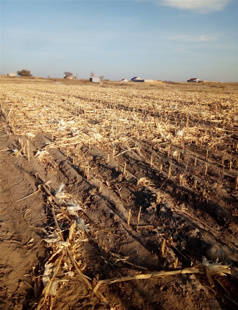 18亩宅基地出租搞种植、养殖、办厂均可