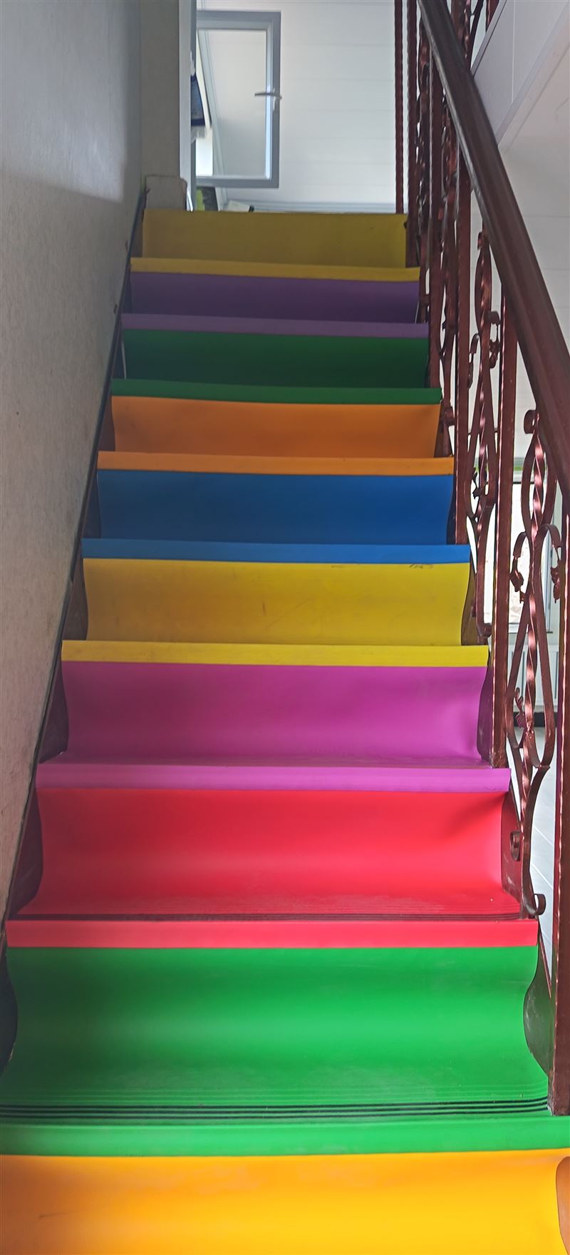 铺地毯；楼梯地毯、塑胶踏步；塑胶地板。