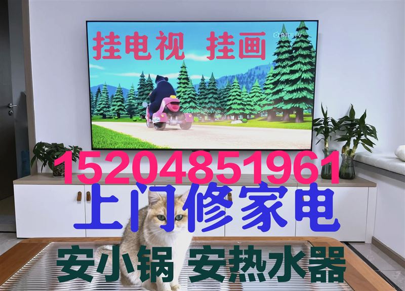 上门修家电，挂电视，挂画，安小锅，安热水器15204851961