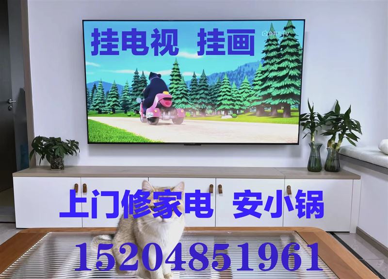 出售安装电视挂架，出售电视15204851961上门修家电