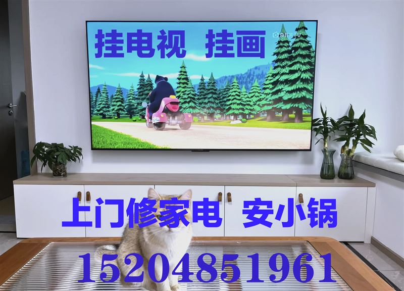 上门修家电，挂电视，挂画，安小锅，安热水器15204851961