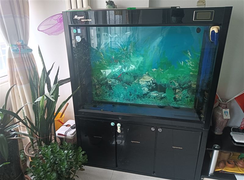 鱼缸出售