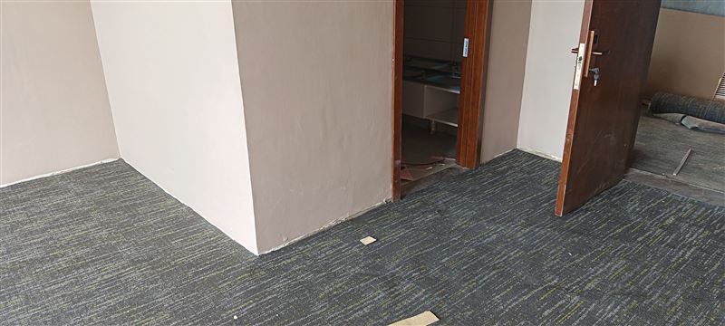 铺地毯；楼梯地毯、塑胶踏步；塑胶地板