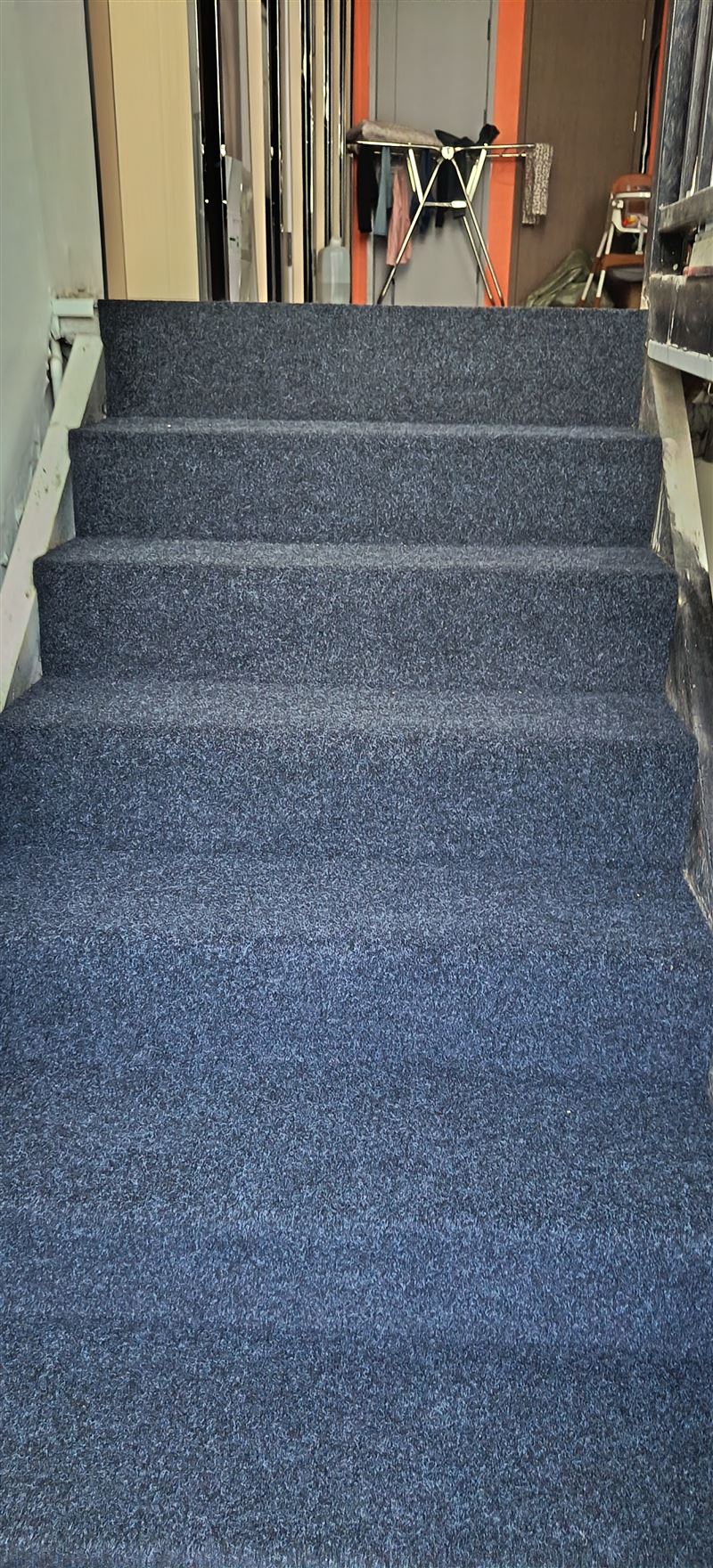 铺地毯；楼梯地毯、塑胶踏步；塑胶地板。